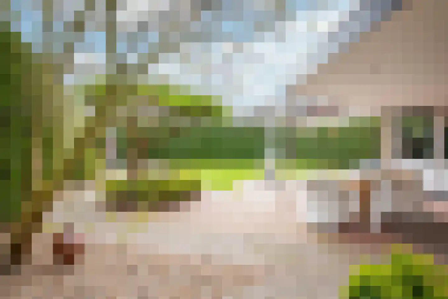 Bosbeek 4 Geleen thumbnail 18