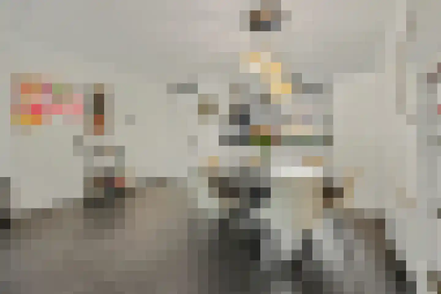 Bosbeekjuffer 61 Enschede thumbnail 10