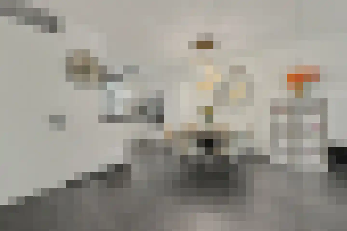 Bosbeekjuffer 61 Enschede thumbnail 11