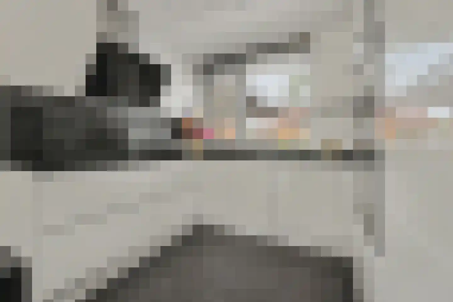 Bosbeekjuffer 61 Enschede thumbnail 13