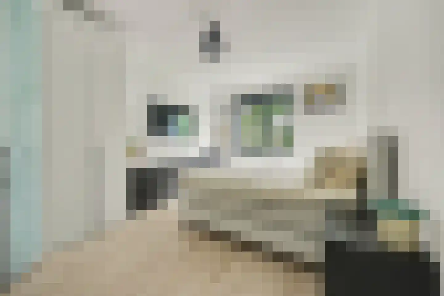 Bosbeekjuffer 61 Enschede thumbnail 15