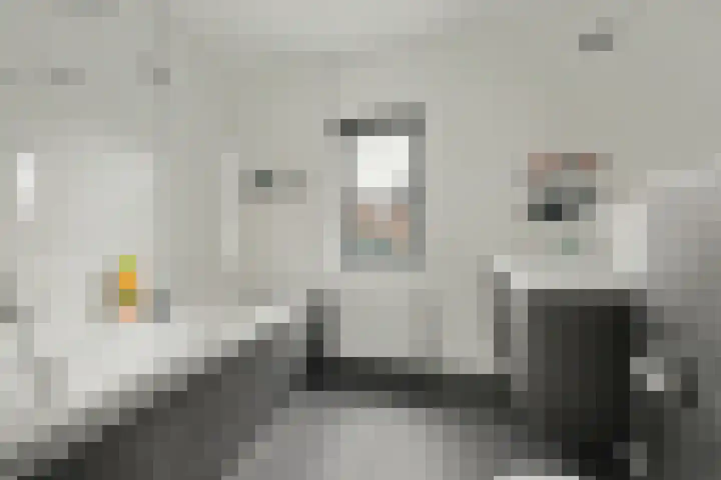 Bosbeekjuffer 61 Enschede thumbnail 21