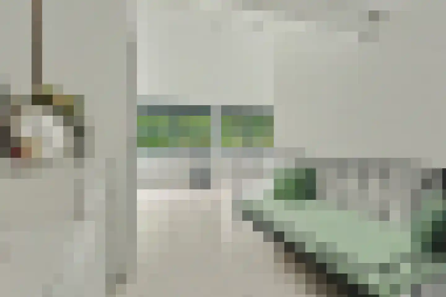 Bosbeekjuffer 61 Enschede thumbnail 27