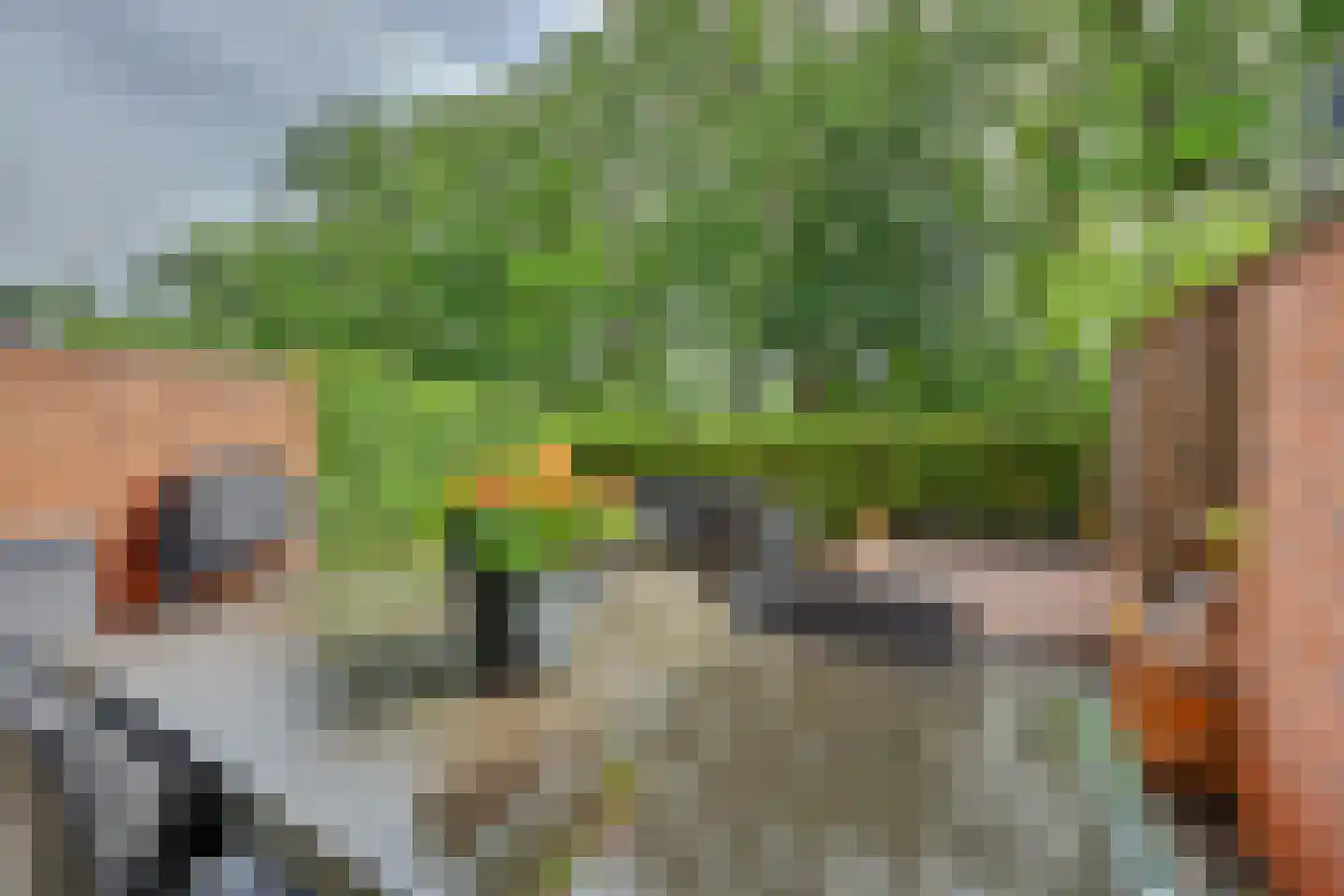 Bosbeekjuffer 61 Enschede thumbnail 29