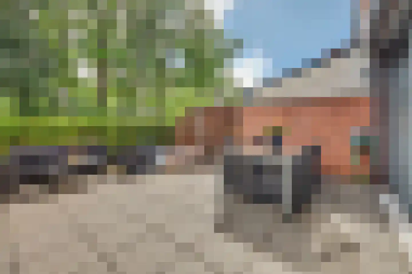 Bosbeekjuffer 61 Enschede thumbnail 30
