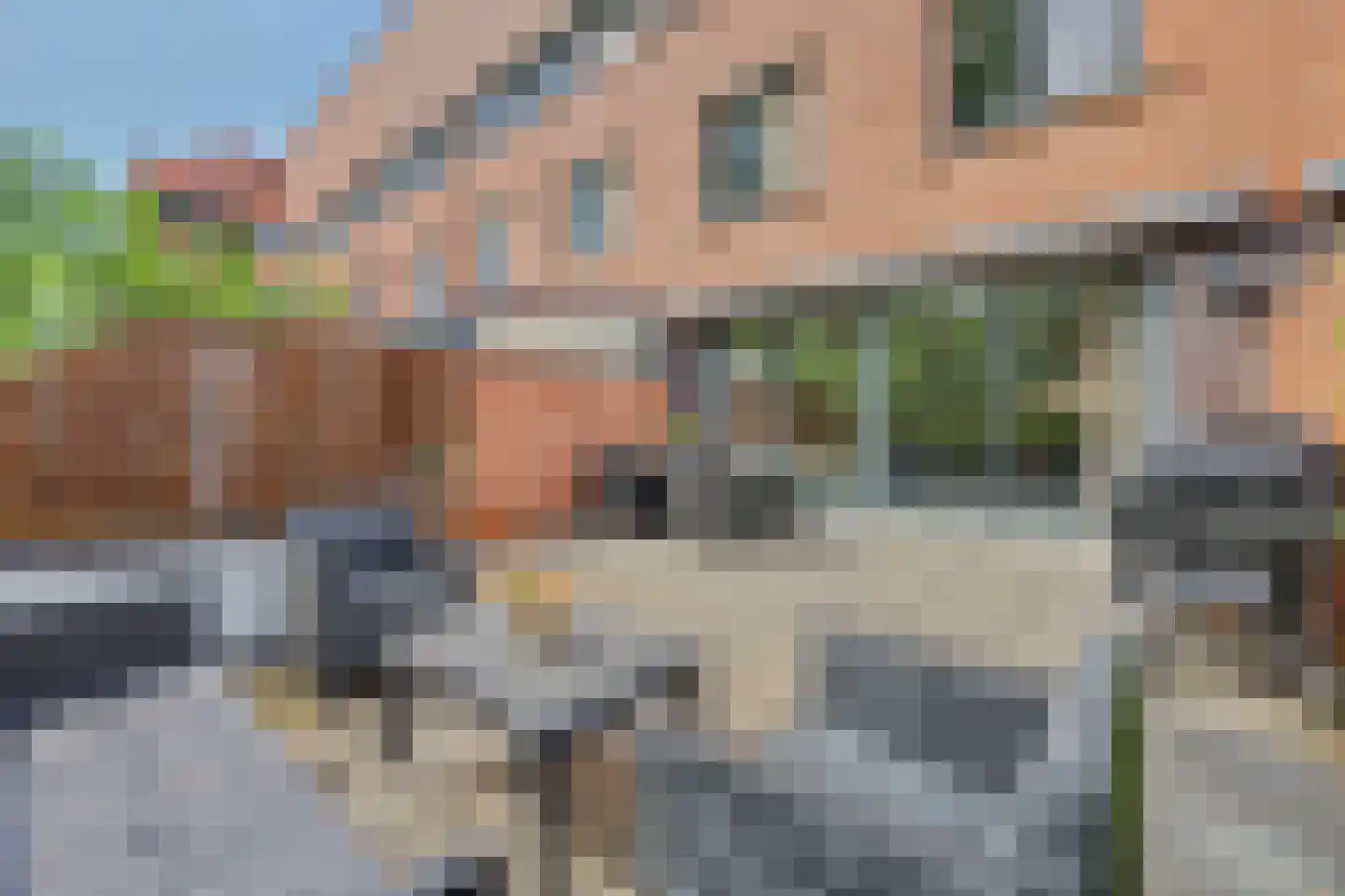 Bosbeekjuffer 61 Enschede thumbnail 31