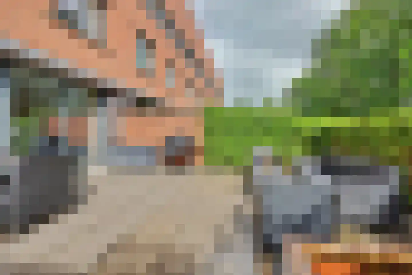 Bosbeekjuffer 61 Enschede thumbnail 32