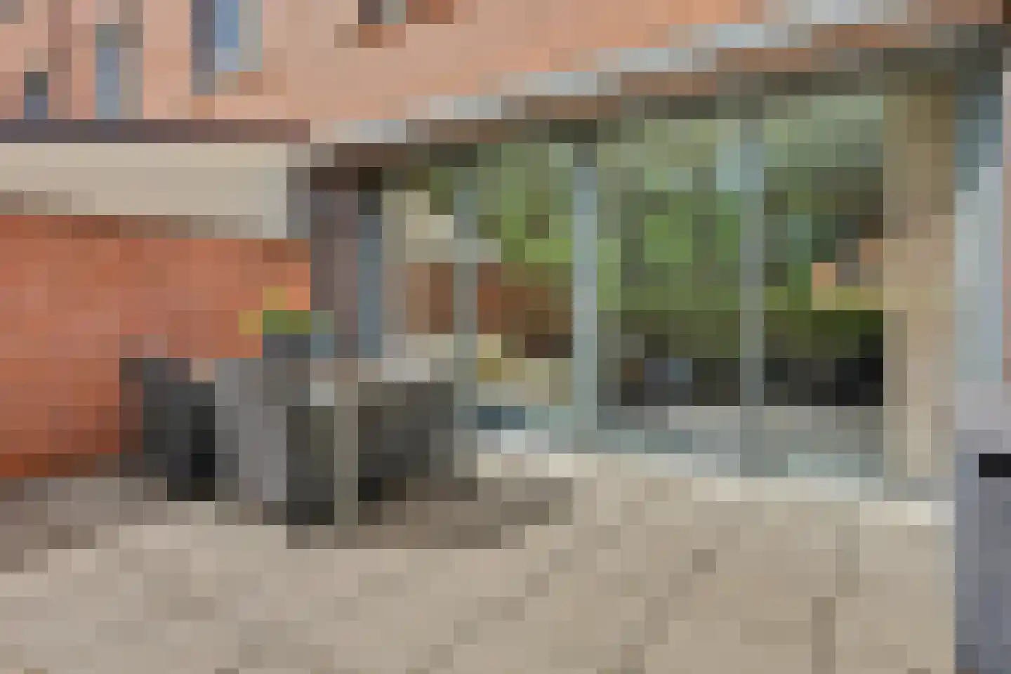 Bosbeekjuffer 61 Enschede thumbnail 33