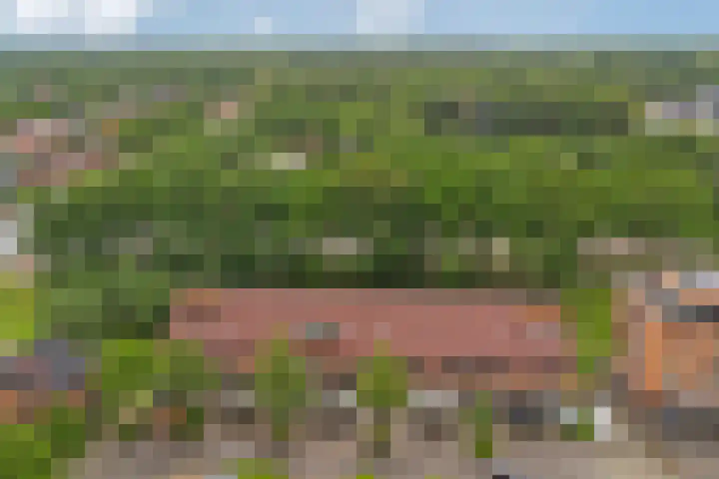 Bosbeekjuffer 61 Enschede thumbnail 34