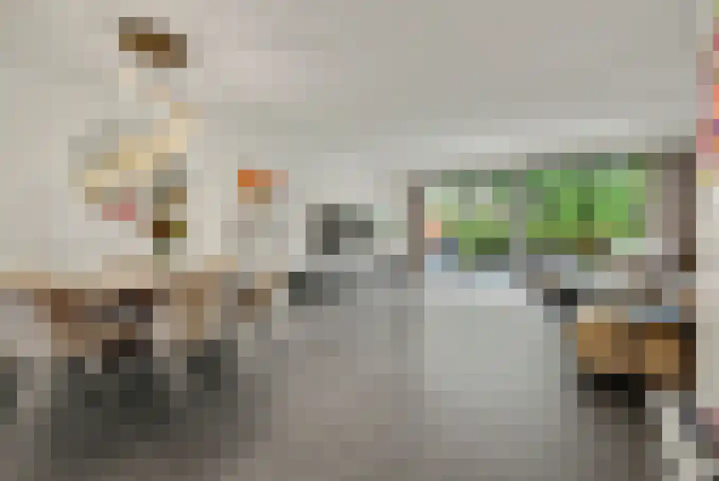 Bosbeekjuffer 61 Enschede thumbnail 7