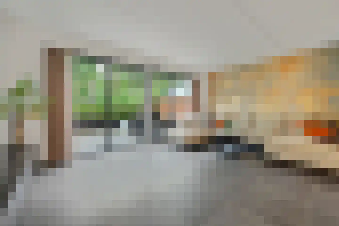 Bosbeekjuffer 61 Enschede thumbnail 8