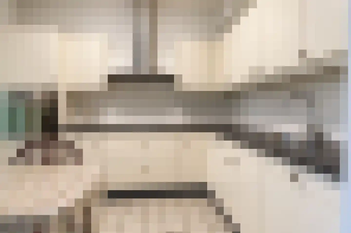 Bosbeeklaan 14 Baarlo thumbnail 11