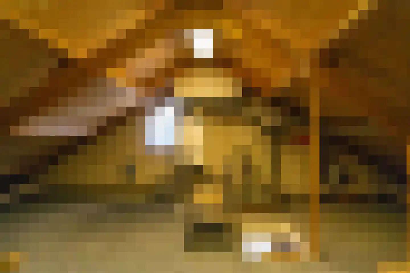 Bosbeeklaan 14 Baarlo thumbnail 20