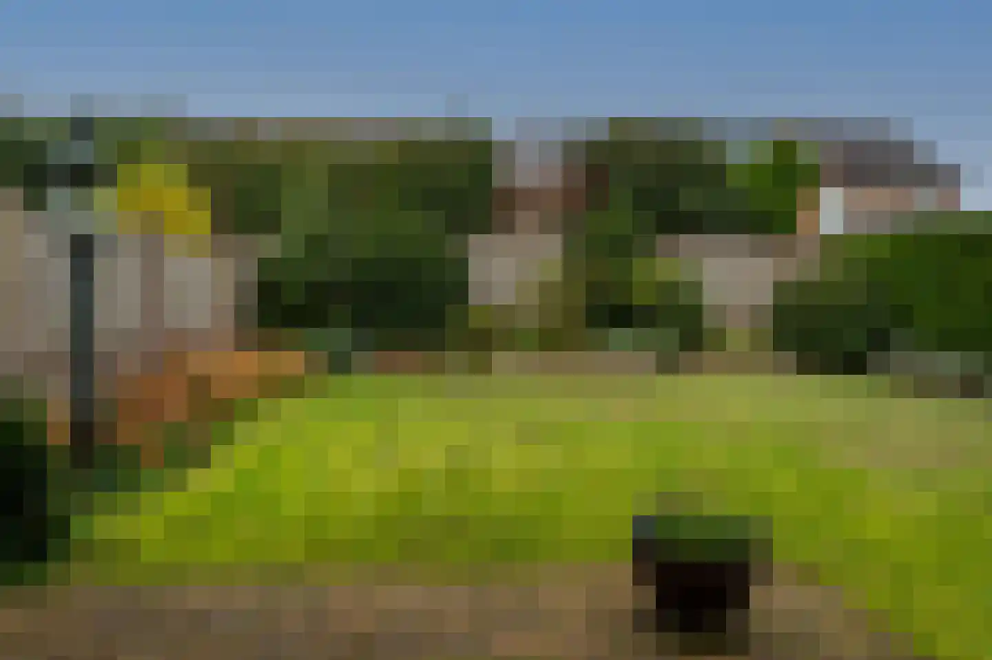 Bosbeeklaan 14 Baarlo thumbnail 22