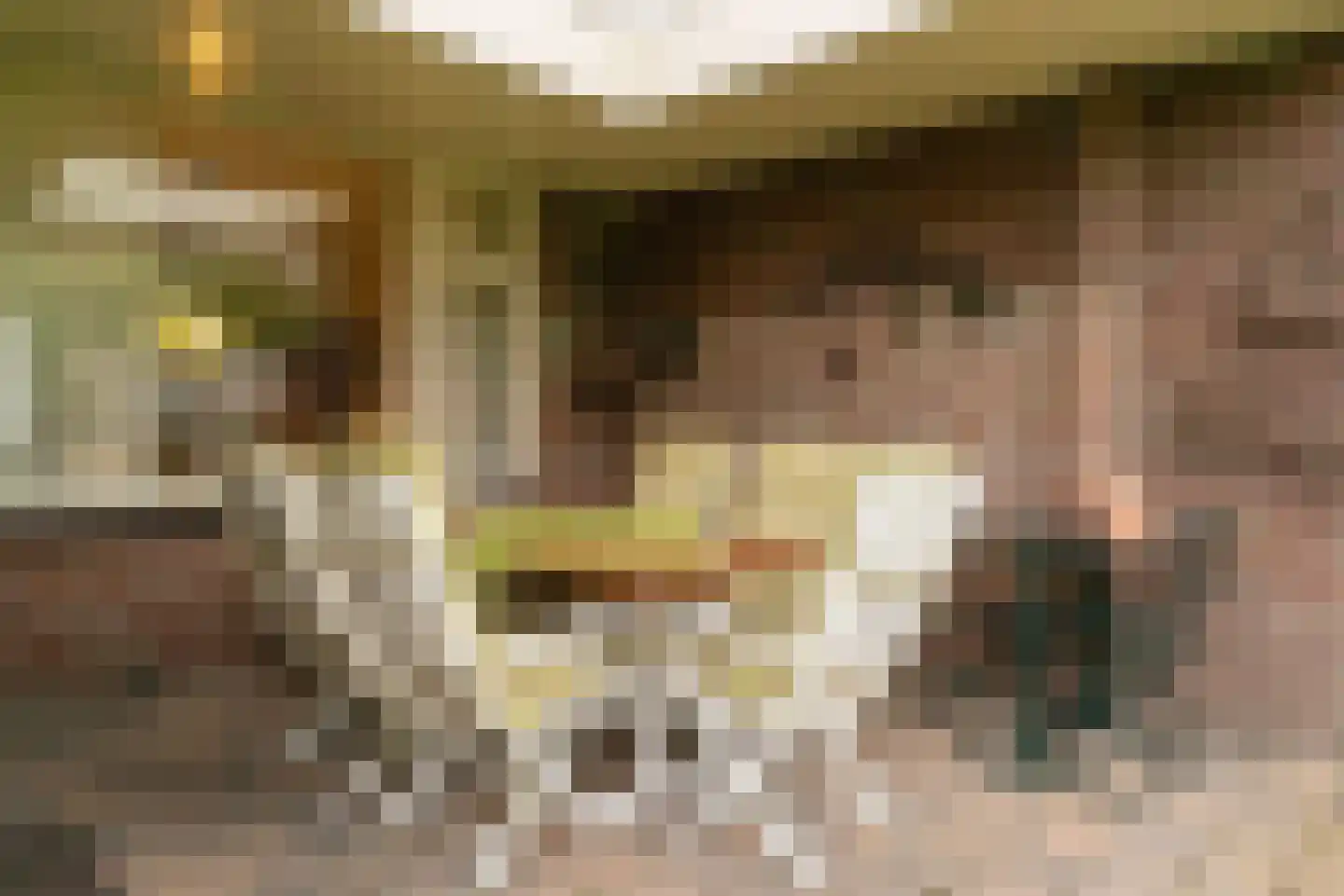 Bosbeeklaan 14 Baarlo thumbnail 24