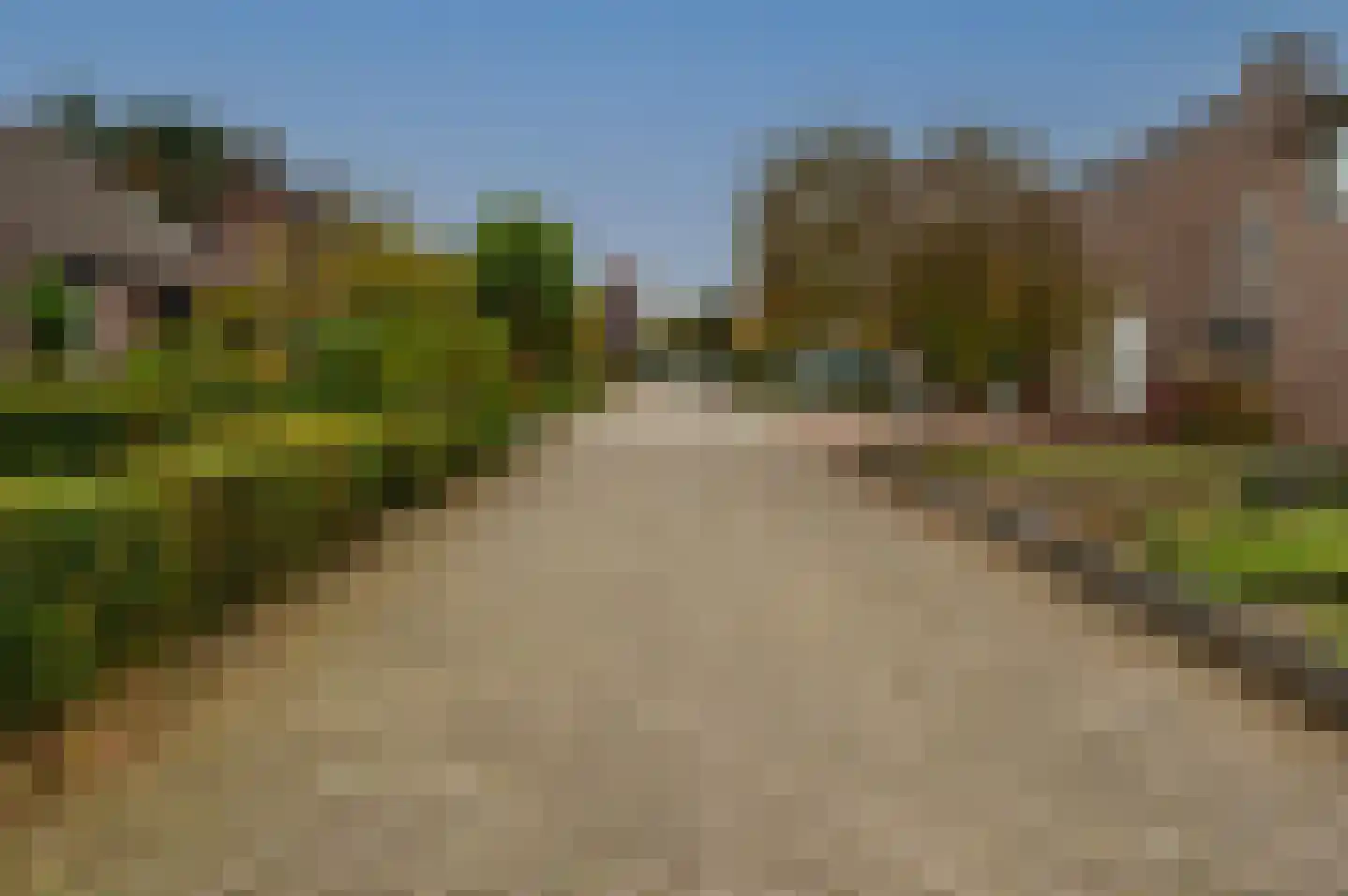 Bosbeeklaan 14 Baarlo thumbnail 28