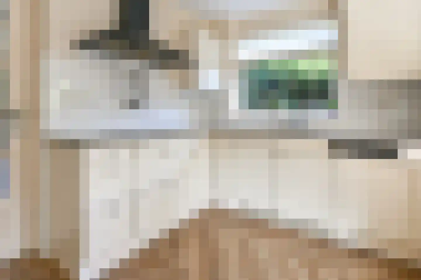 Bosbeeklaan 19 Santpoort-Noord thumbnail 20