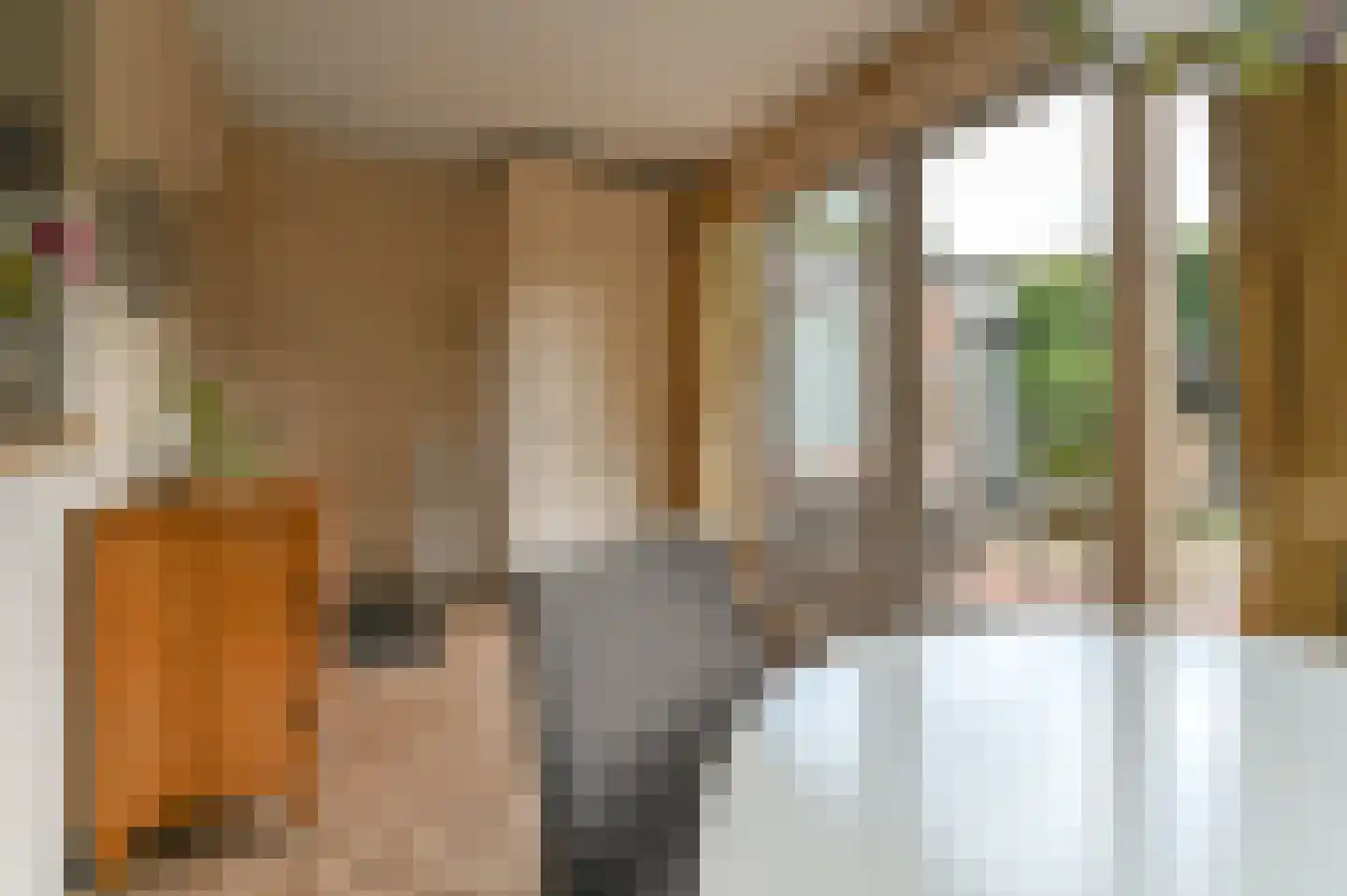 Bosbeeklaan 19 Santpoort-Noord thumbnail 27