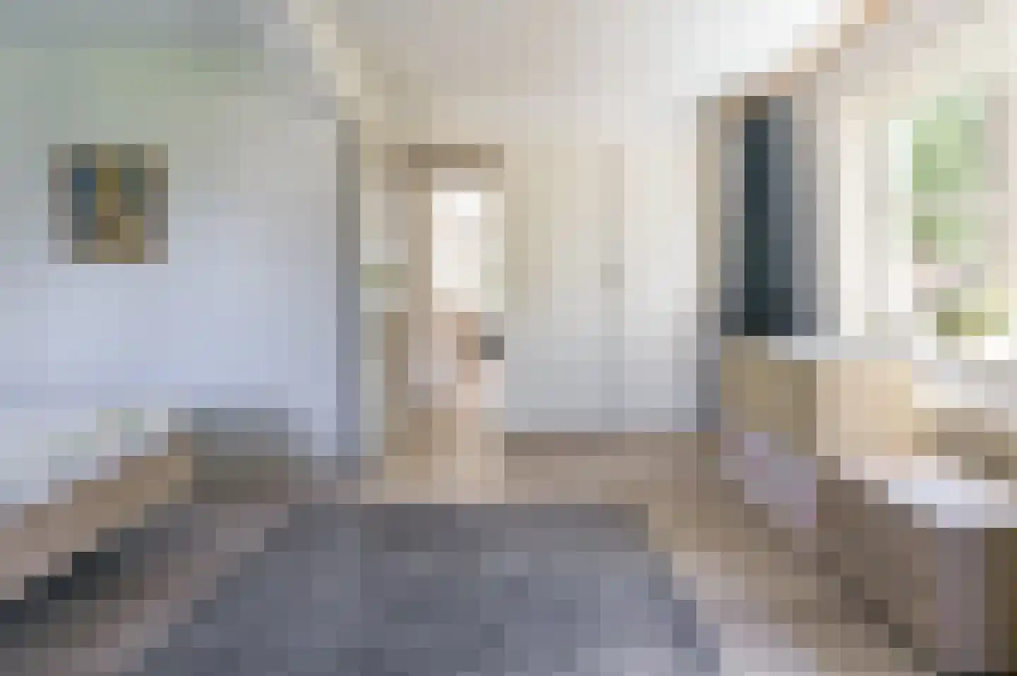 Bosbeeklaan 19 Santpoort-Noord thumbnail 30