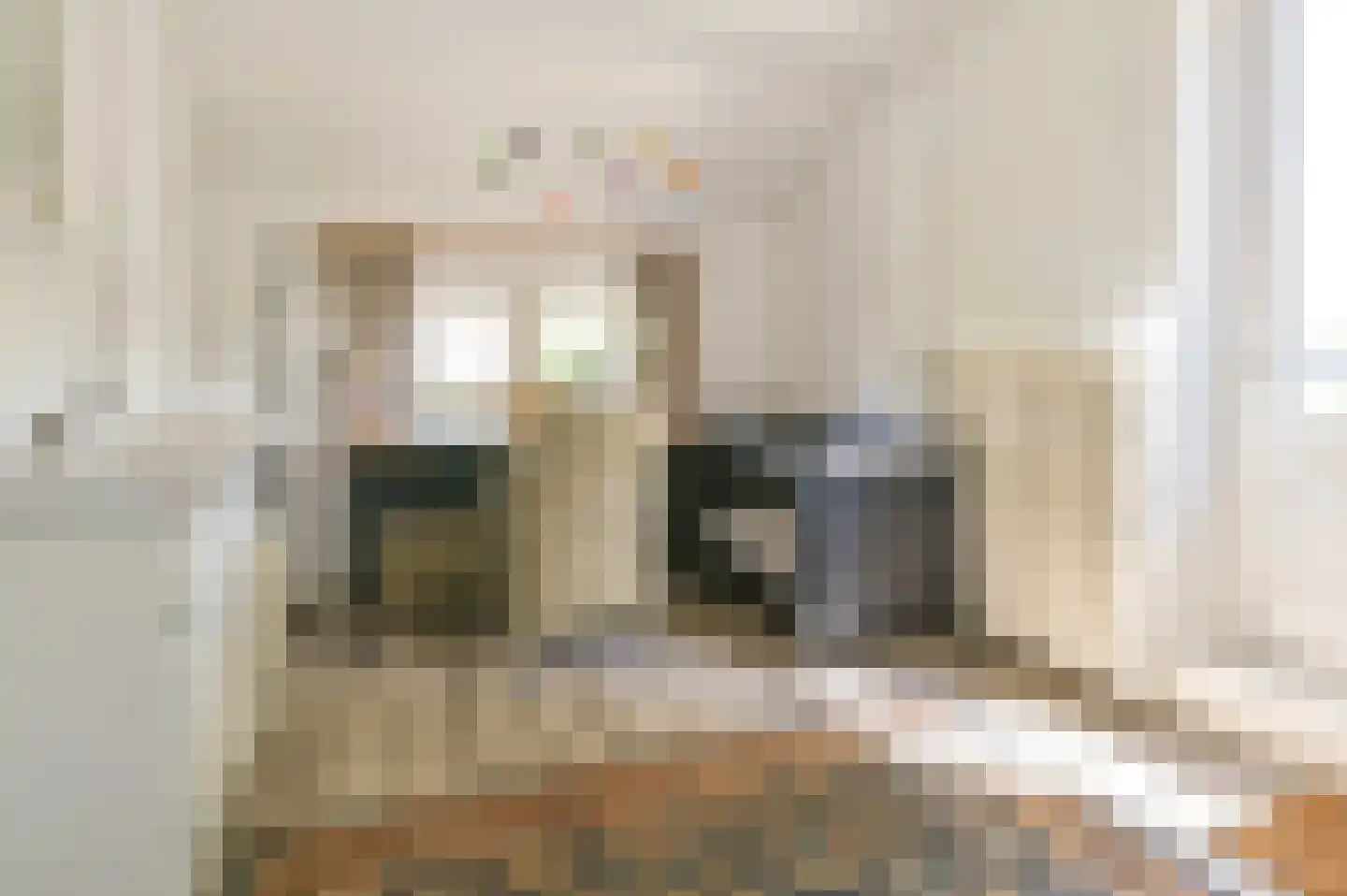 Bosbeeklaan 19 Santpoort-Noord thumbnail 32