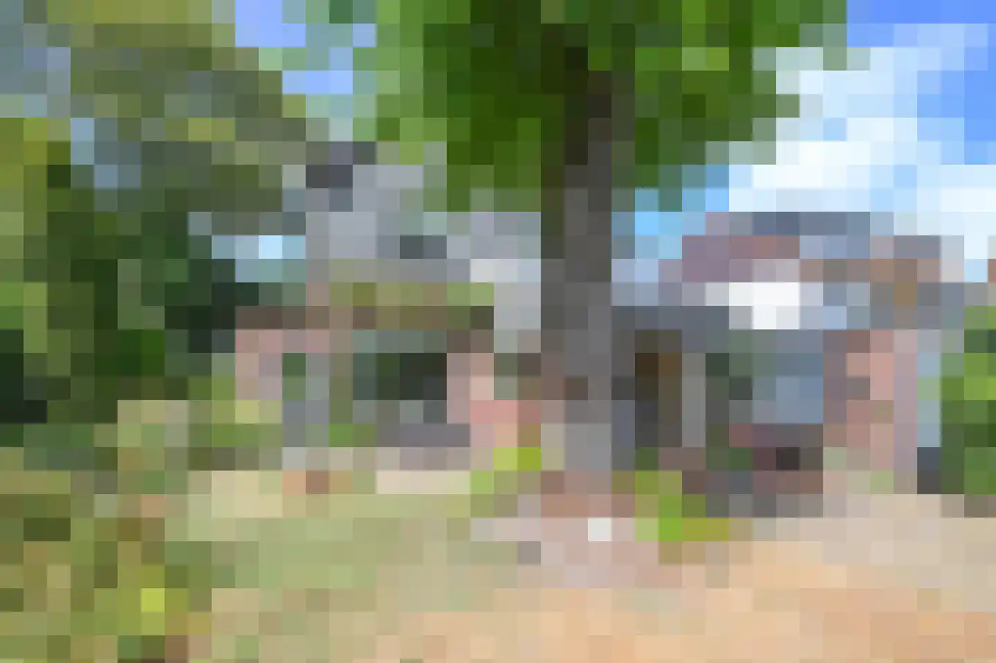 Bosbeeklaan 19 Santpoort-Noord thumbnail 51