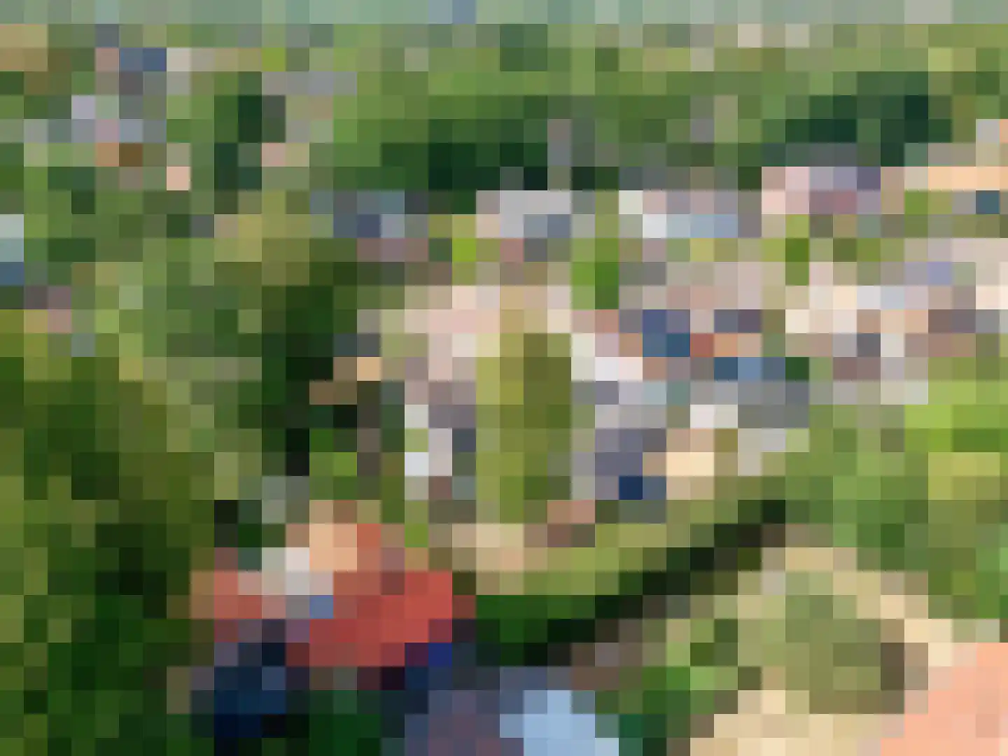 Bosbeeklaan 19 Santpoort-Noord thumbnail 61