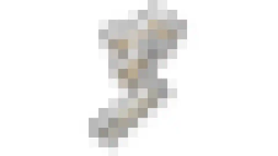 Bosbeeklaan 19 Santpoort-Noord thumbnail 66