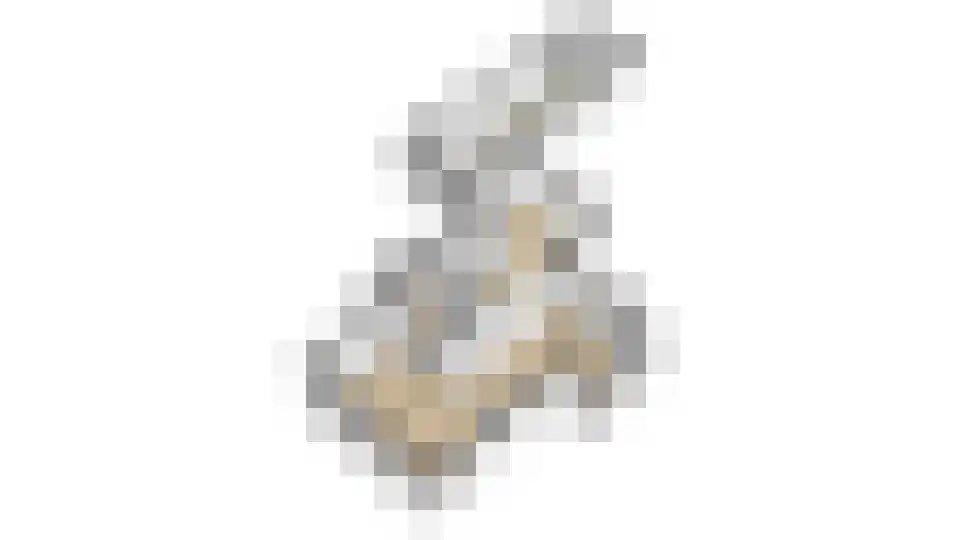 Bosbeeklaan 19 Santpoort-Noord thumbnail 67