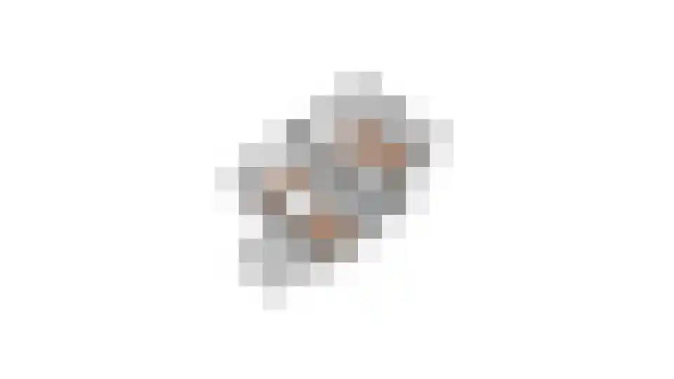 Bosbeeklaan 19 Santpoort-Noord thumbnail 68