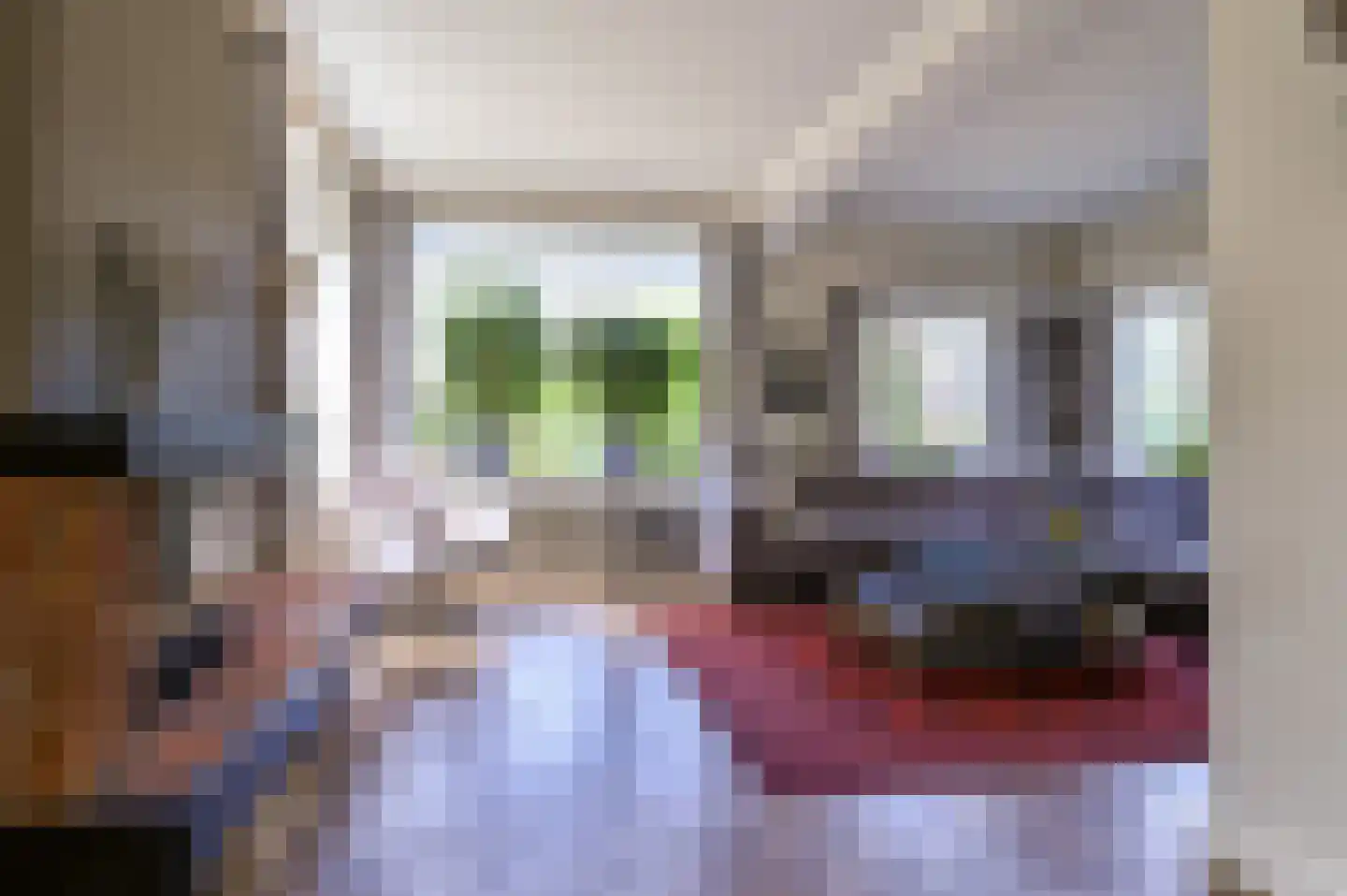Bosbeeklaan 19 Santpoort-Noord thumbnail 7