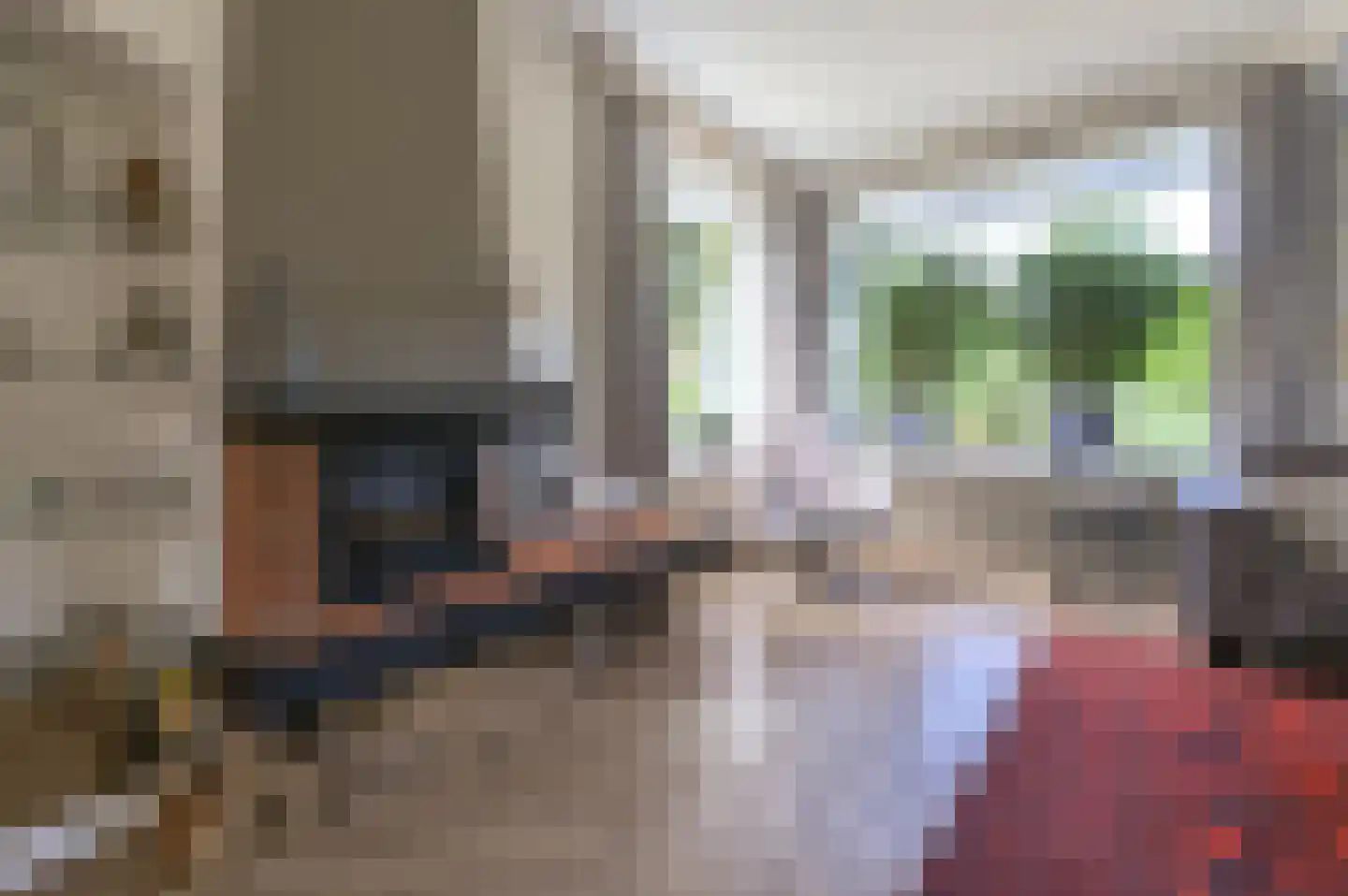 Bosbeeklaan 19 Santpoort-Noord thumbnail 8