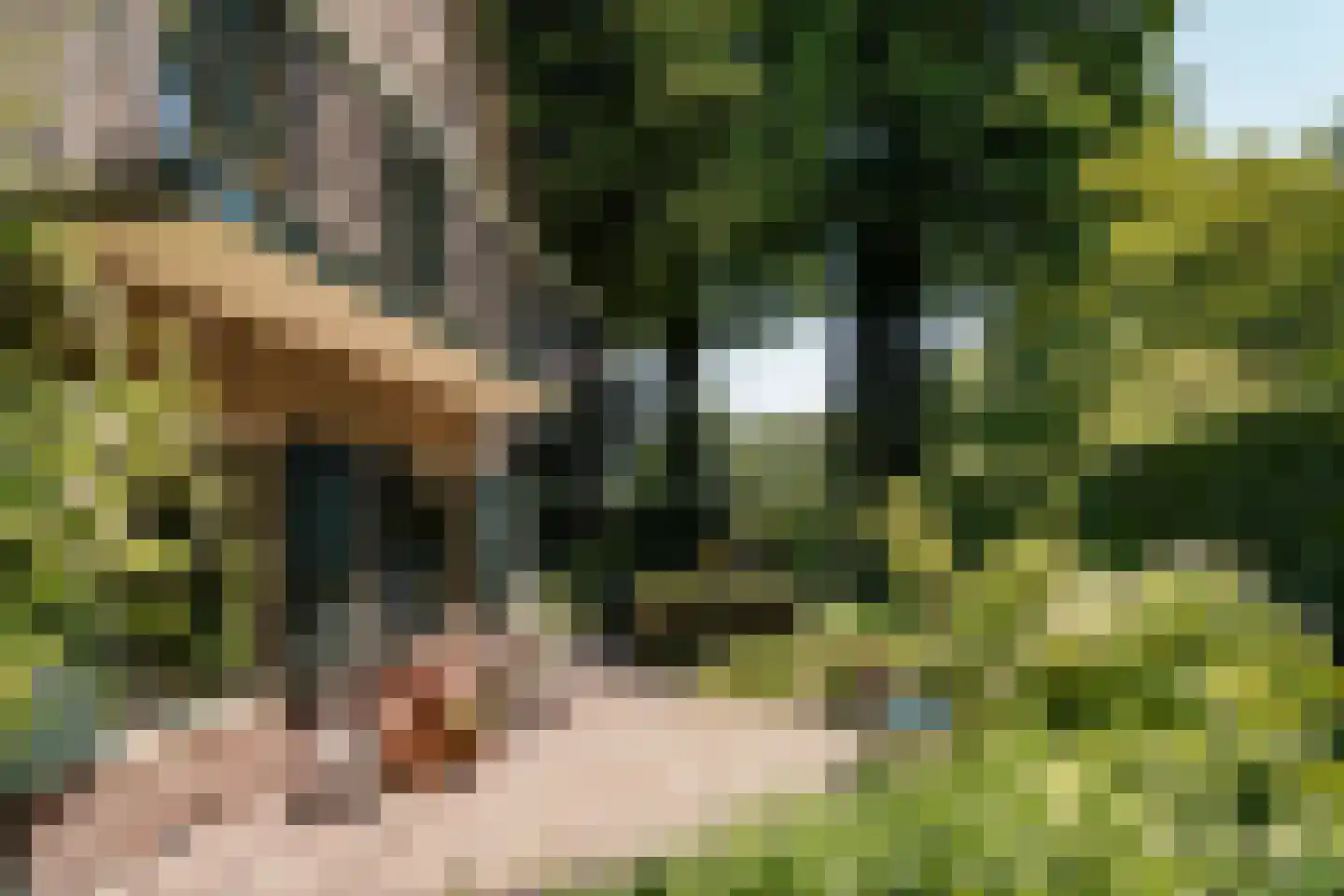 Bosbeeklaan 21 Santpoort-Noord thumbnail 16