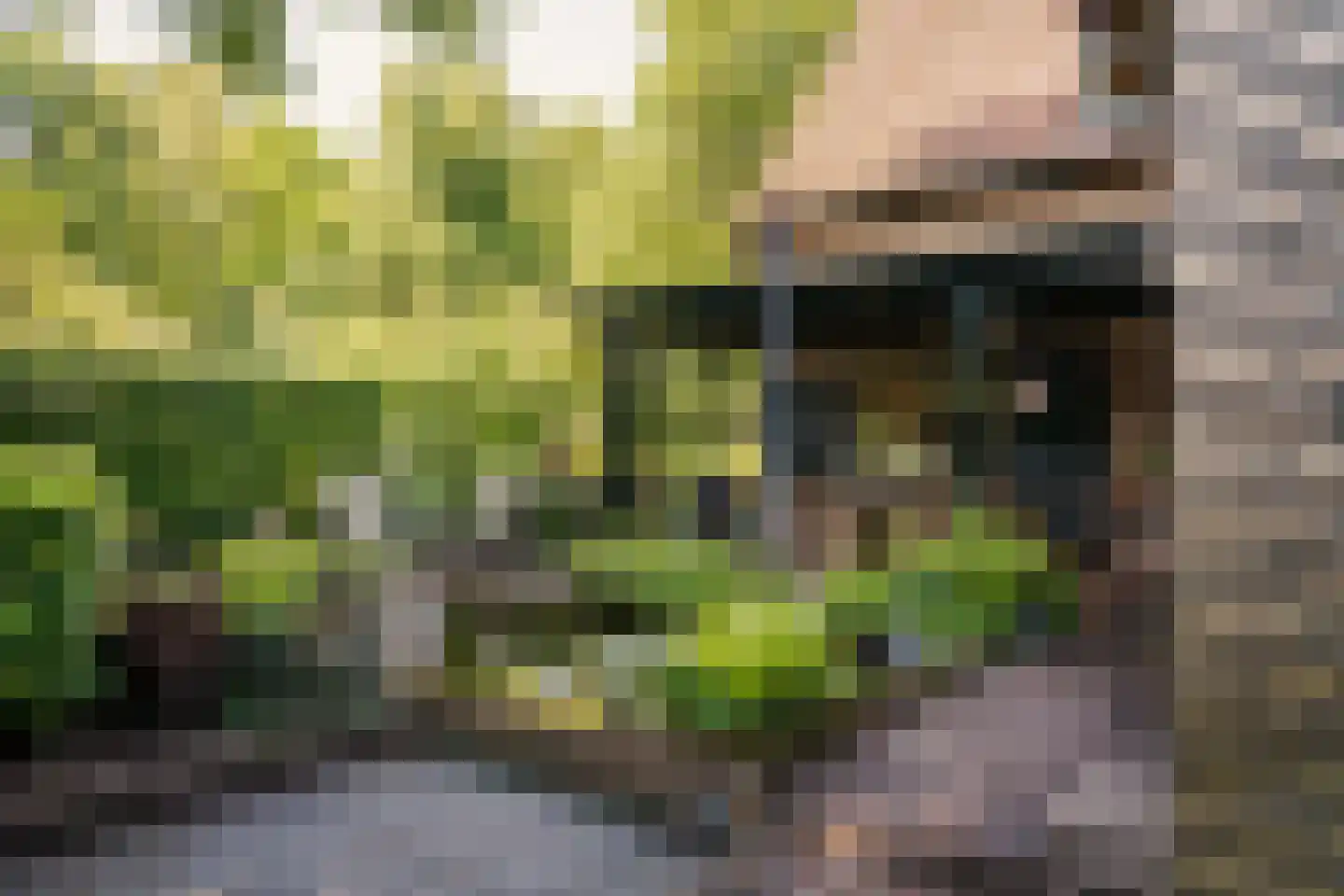 Bosbeeklaan 21 Santpoort-Noord thumbnail 17