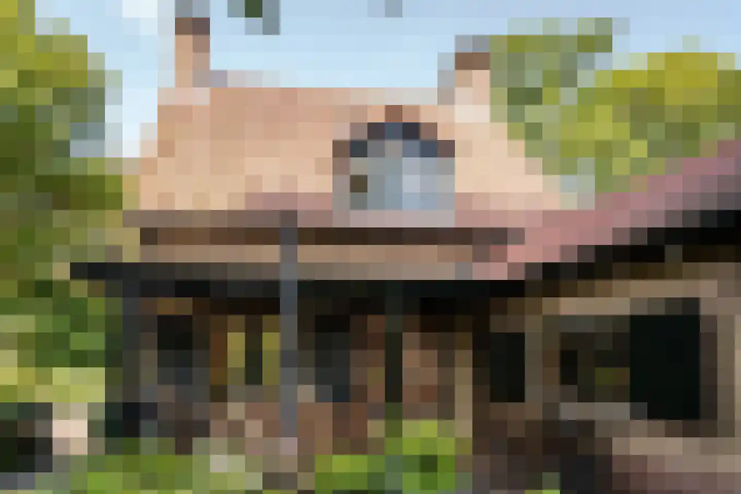 Bosbeeklaan 21 Santpoort-Noord thumbnail 18