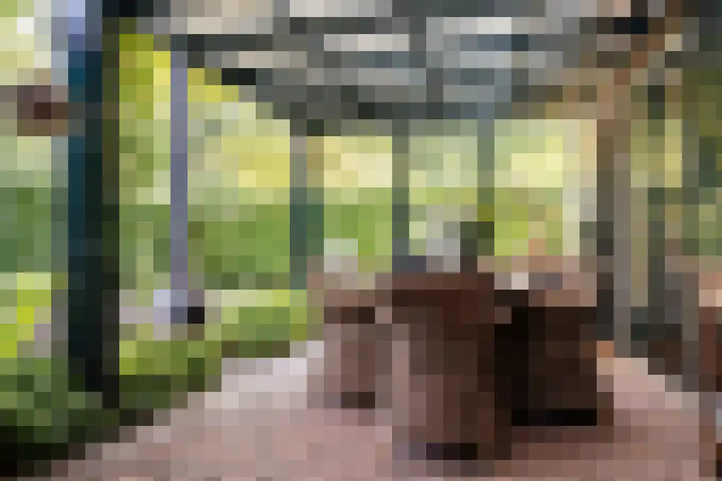 Bosbeeklaan 21 Santpoort-Noord thumbnail 19