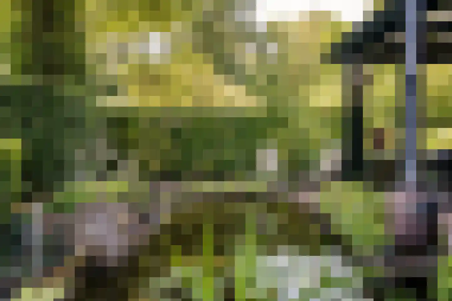 Bosbeeklaan 21 Santpoort-Noord thumbnail 20