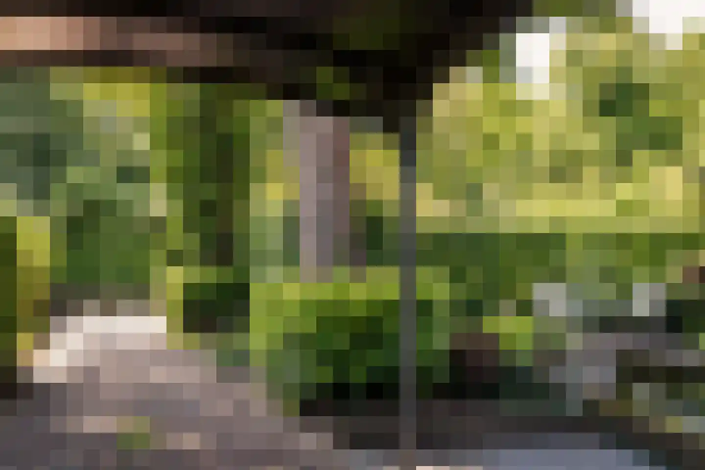 Bosbeeklaan 21 Santpoort-Noord thumbnail 21