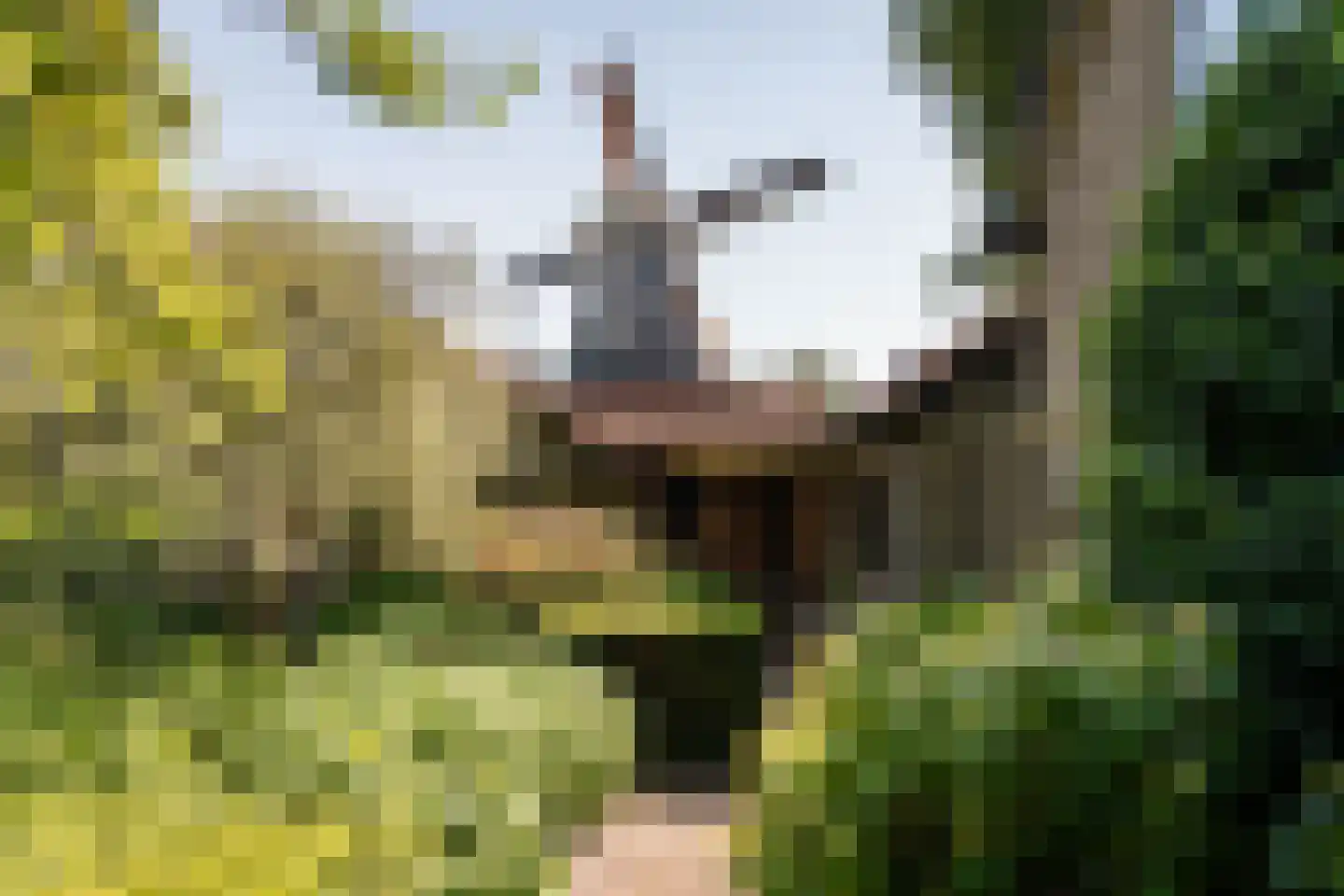 Bosbeeklaan 21 Santpoort-Noord thumbnail 22