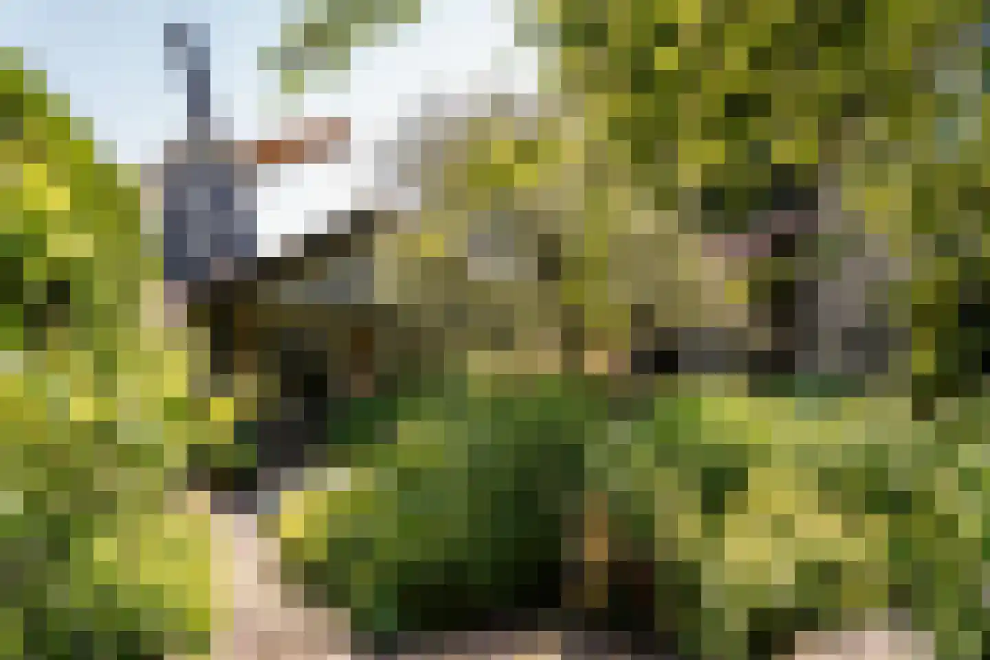 Bosbeeklaan 21 Santpoort-Noord thumbnail 23