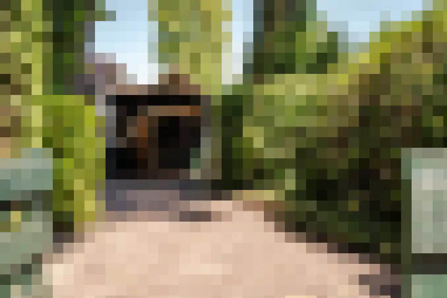 Bosbeeklaan 21 Santpoort-Noord thumbnail 25