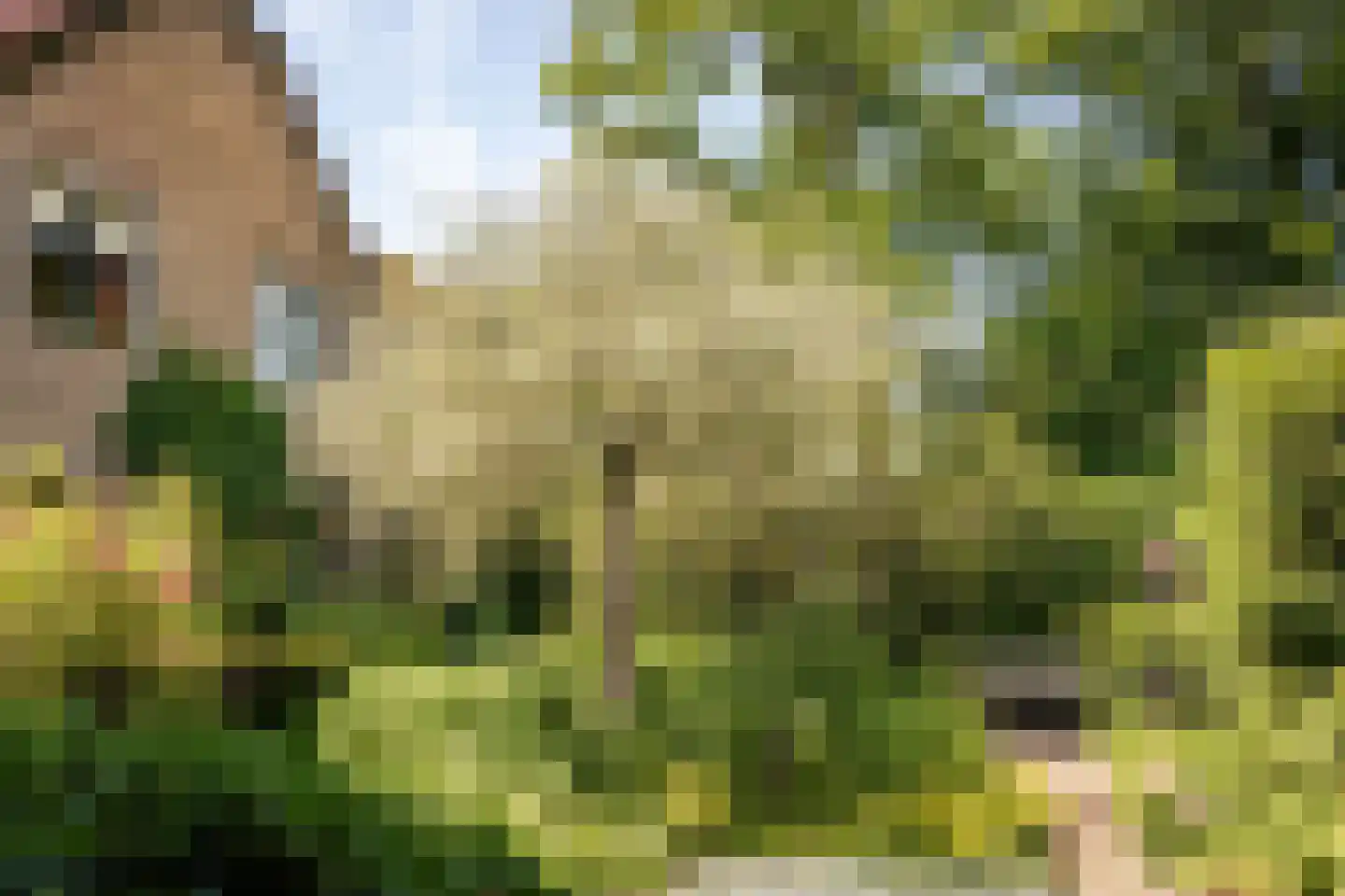 Bosbeeklaan 21 Santpoort-Noord thumbnail 30