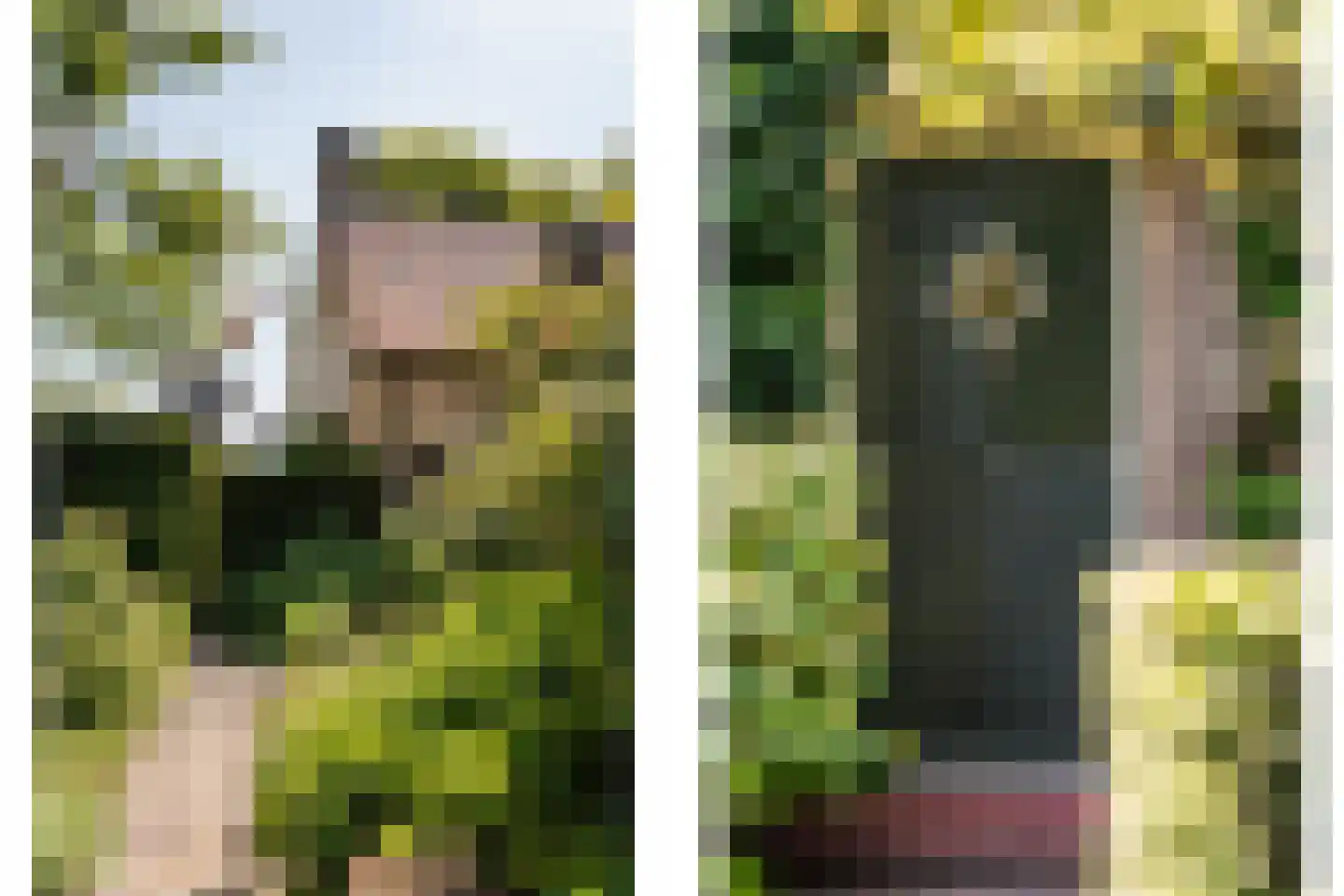 Bosbeeklaan 21 Santpoort-Noord thumbnail 4
