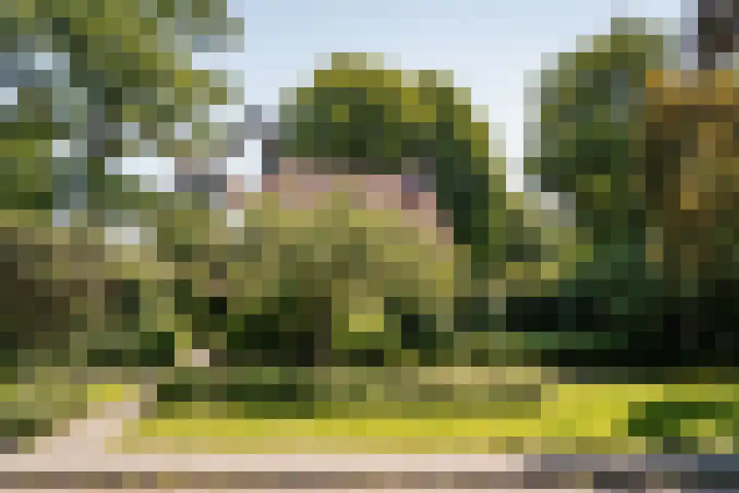Bosbeeklaan 21 Santpoort-Noord thumbnail 42