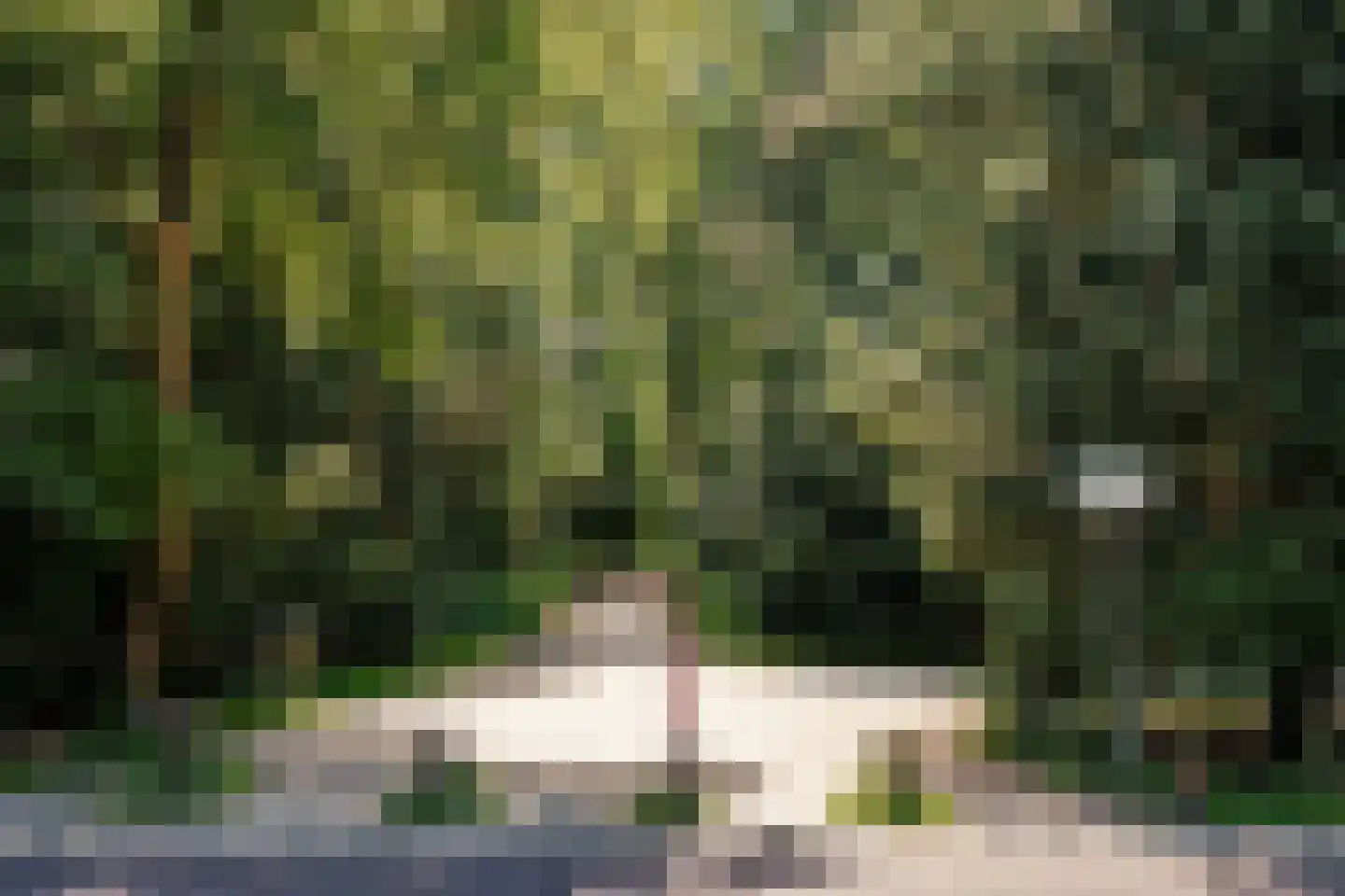 Bosbeeklaan 21 Santpoort-Noord thumbnail 46