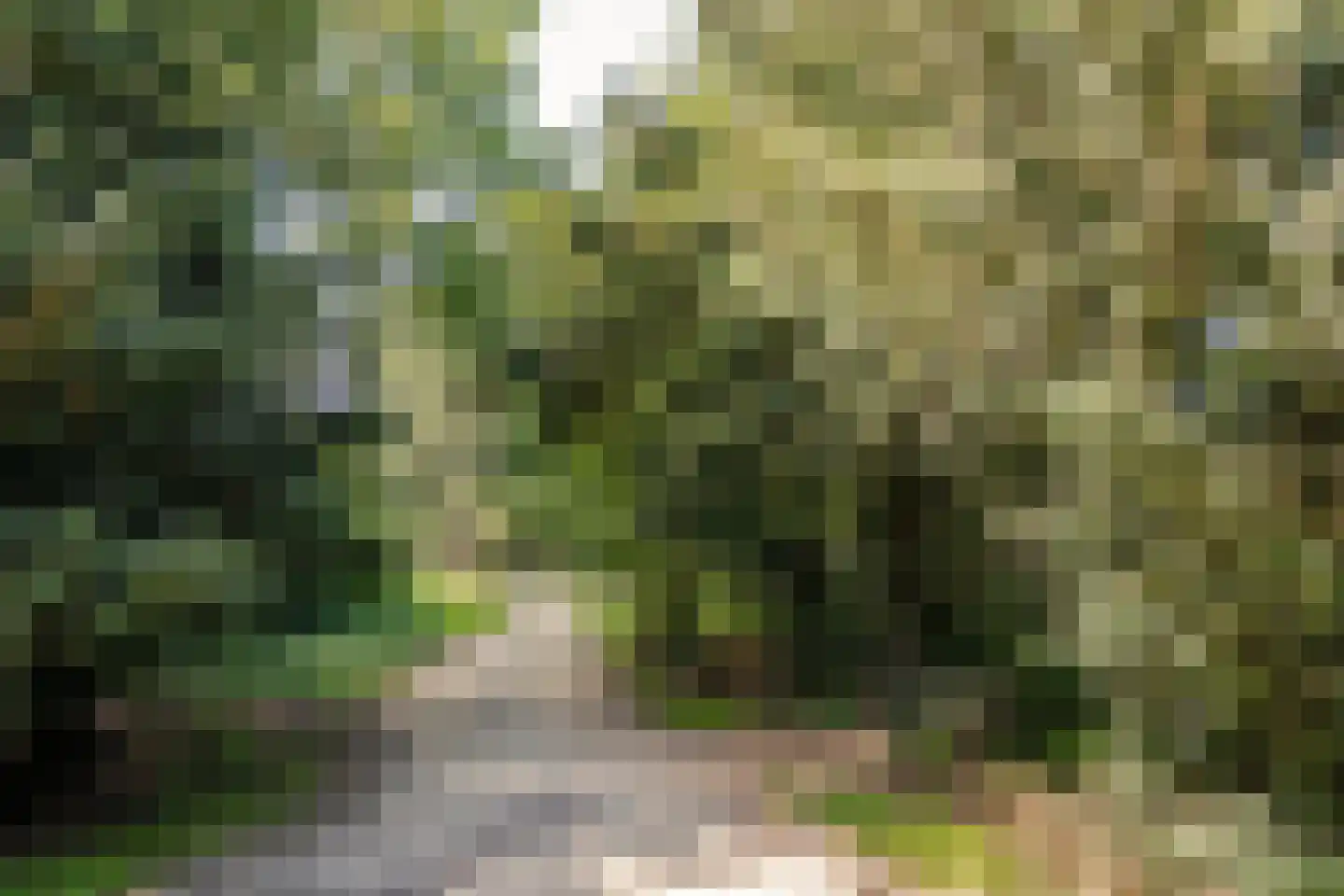 Bosbeeklaan 21 Santpoort-Noord thumbnail 47