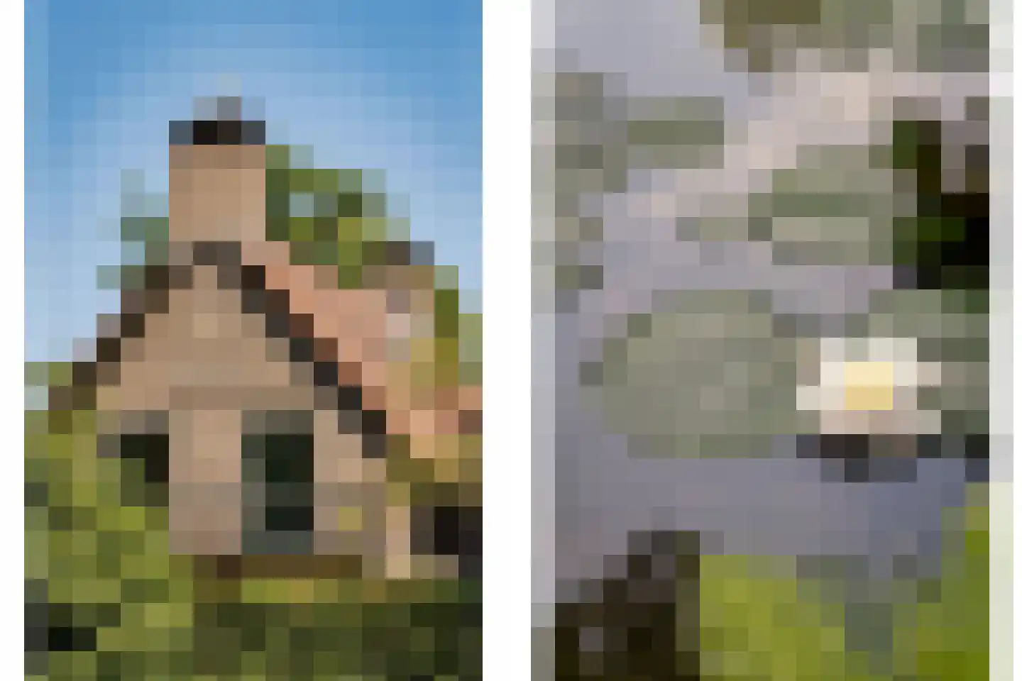Bosbeeklaan 21 Santpoort-Noord thumbnail 5