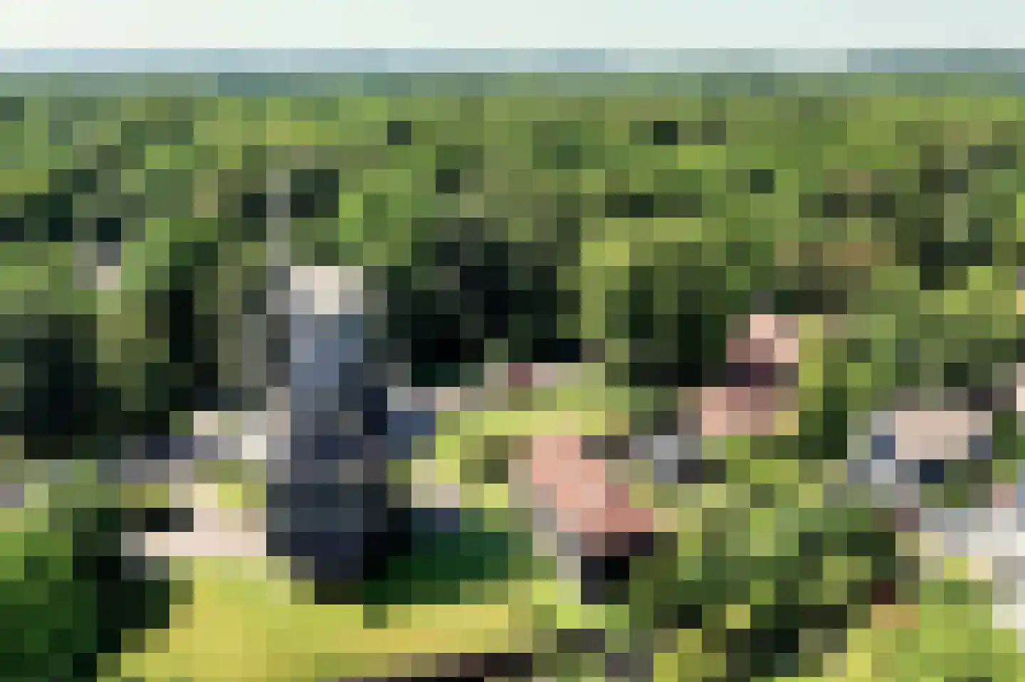 Bosbeeklaan 21 Santpoort-Noord thumbnail 51