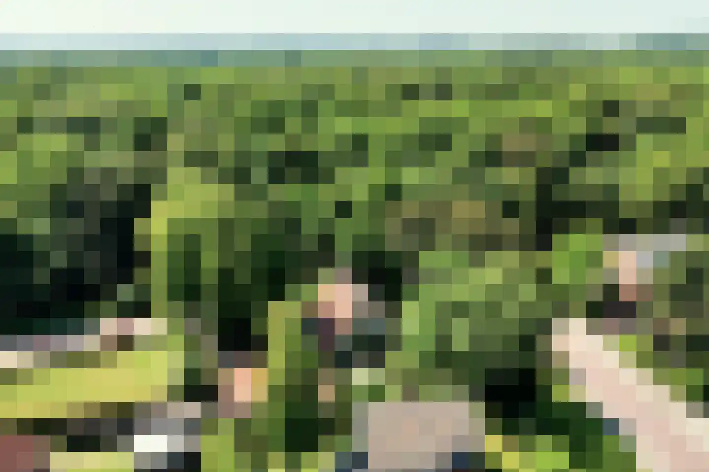 Bosbeeklaan 21 Santpoort-Noord thumbnail 52