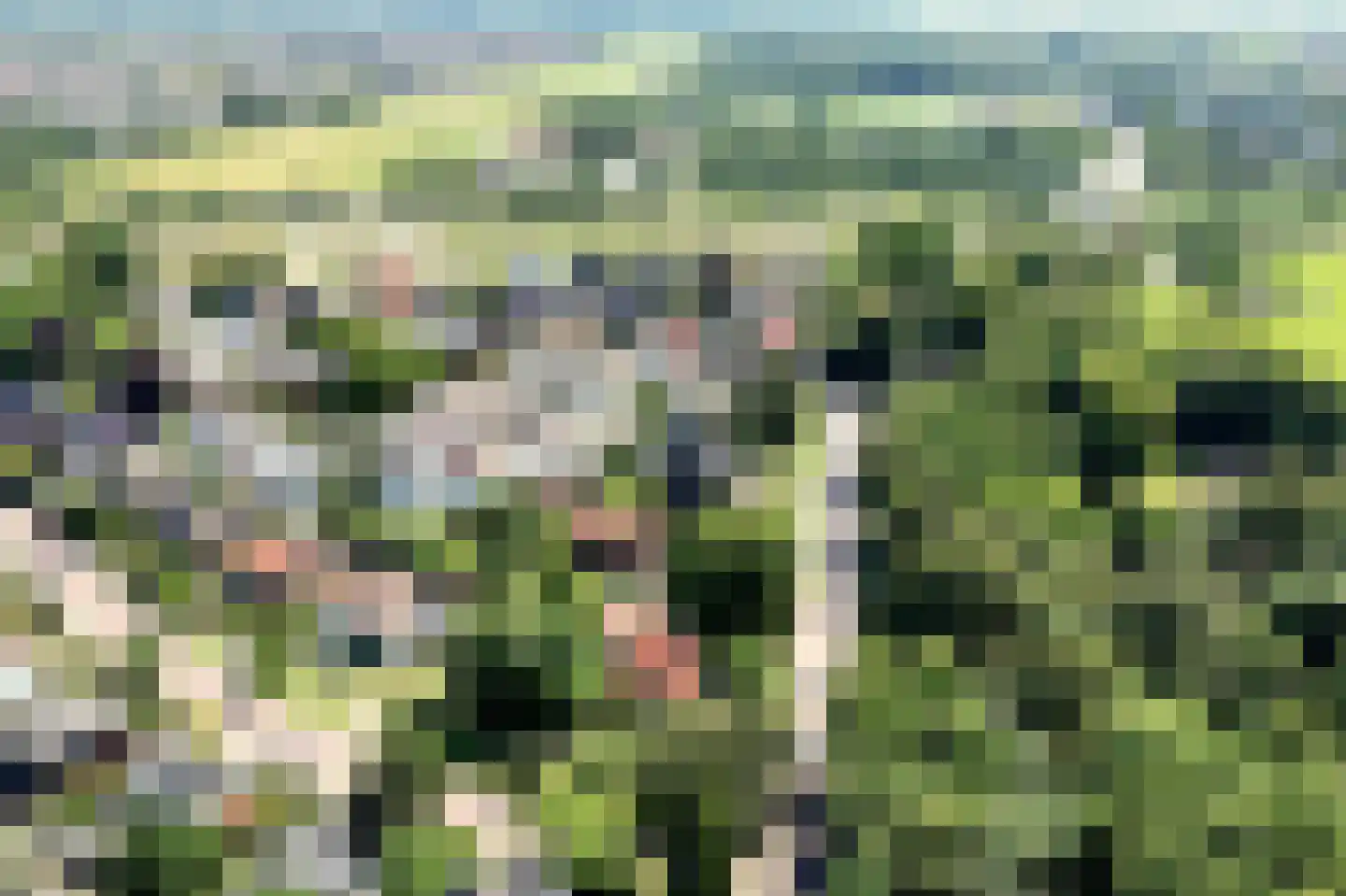 Bosbeeklaan 21 Santpoort-Noord thumbnail 53