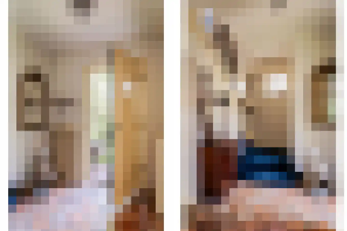 Bosbeeklaan 21 Santpoort-Noord thumbnail 6